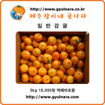 귤나라