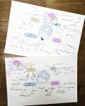 한우리독서토론논술 참누리교실
