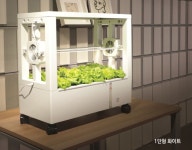 농업회사법인수경팜