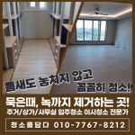 입주청소
