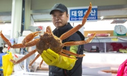 대영수산