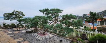 이한조경