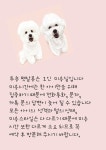 투숑펫살롱