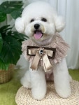 댕이의하루,애견유치원 애견호텔