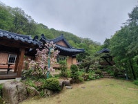 갤러리&펜션 풍경소리