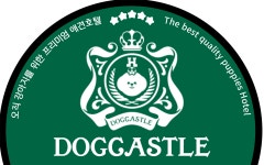 애견호텔도그캐슬 다산점