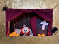 옐레드 애견유치원&애견호텔 진주초전점