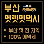 부산펫렛펫택시