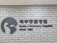 북부동물병원