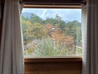 노추산힐링펜션