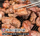 갈매기야
