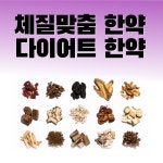 당산경희한의원 영등포당산