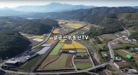 팔공산공인중개사사무소