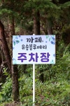 유송블루베리농장