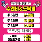 힘찬나래 국제 태권도