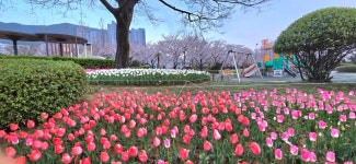 꽃동산어린이집