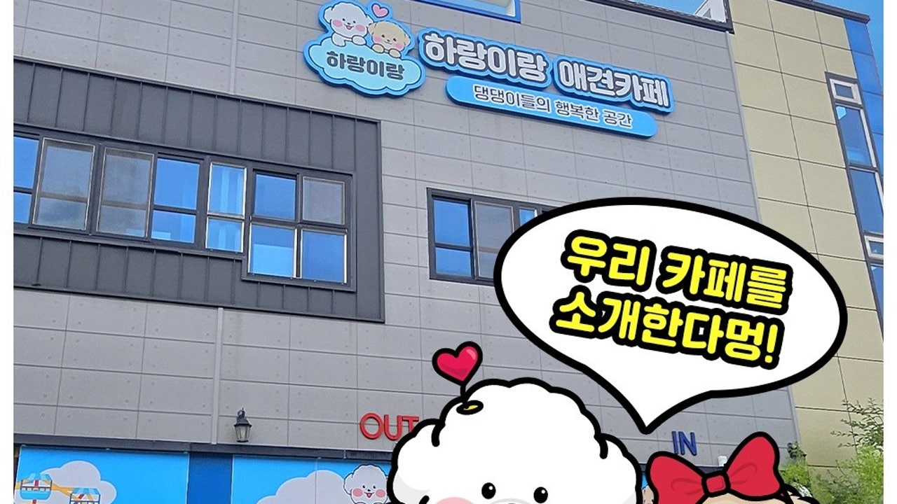 하랑이랑 애견카페