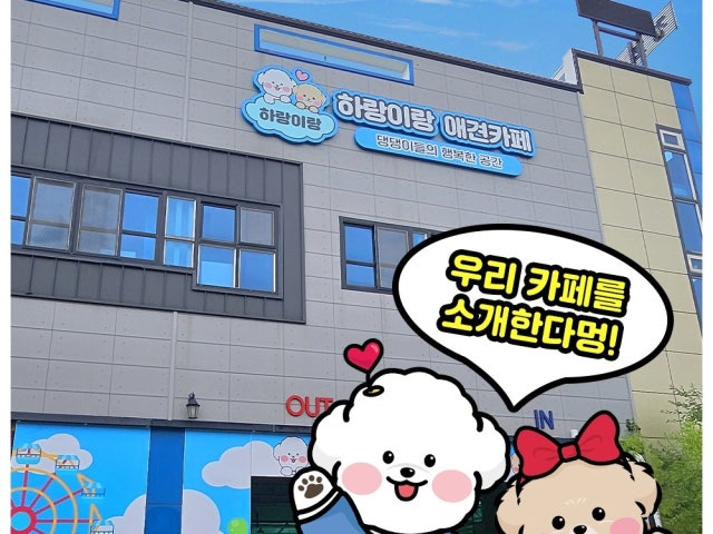 하랑이랑 애견카페