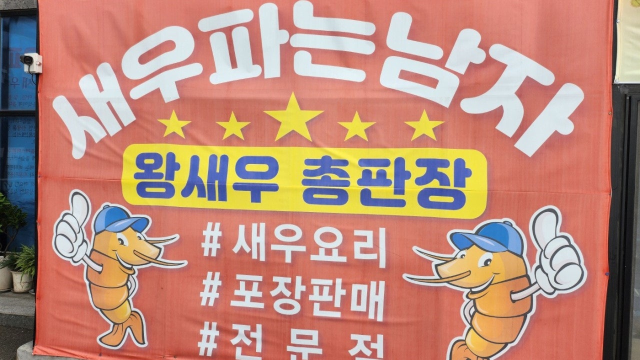 새우파는남자
