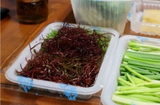 해초과메기 초전점