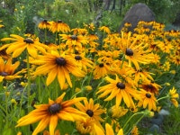 지리산밀드플레