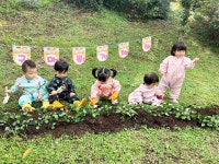 꼬마별어린이집