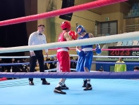 H3복싱체육관