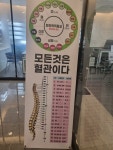 에스더피부힐링샵