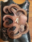 제주다찌