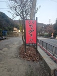 풍천장어