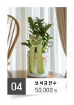 진플라워