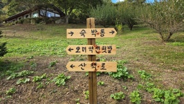 휴가팜