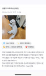 앤써독 애견미용실