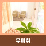 묘약고양이미용실
