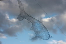 소동연가패밀리