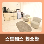 묘약고양이미용실