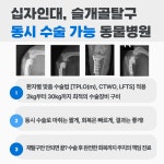 현대동물병원