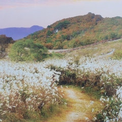 화목교회
