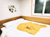 더스테이남포