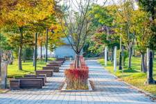 초정힐링캠핑장