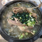 다슬기나라