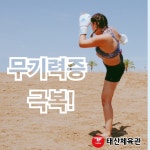 태산체육관