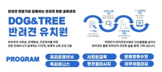 독앤트리 애견유치원&애견카페
