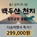 다솜여행사