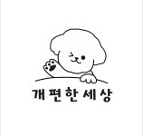 개편한세상