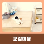 묘약고양이미용실
