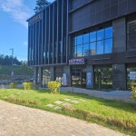 디모 풋 앤 바디 통증 재활