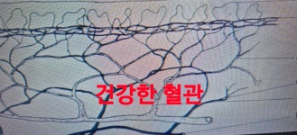 울림기능운동센터