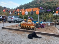 아이월관광농원 캠핑장