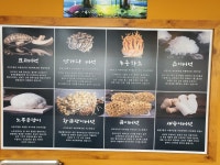버섯애가